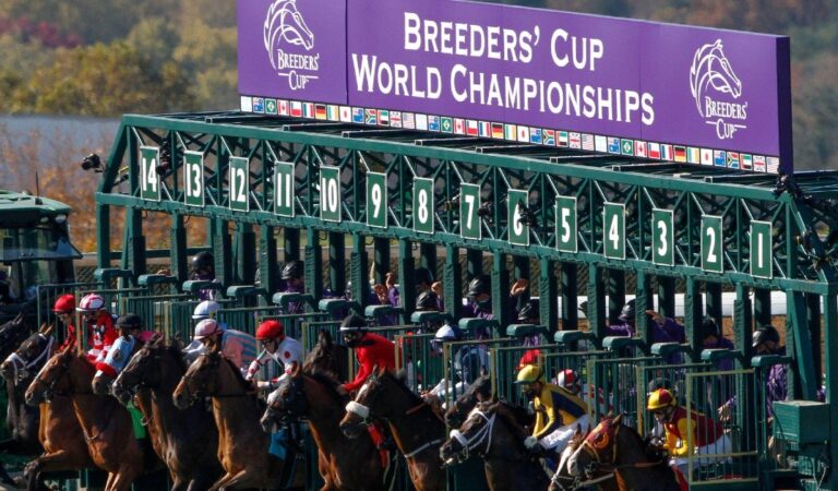 Breeders Cup Horse Racing Predictions and Betting Picks