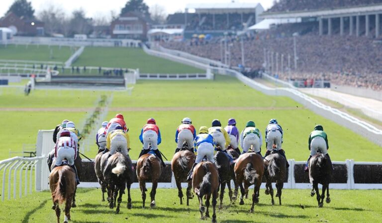 Cheltenham Day 2 Horse Racing Betting Picks And Predictions; Today’s Horse Tips